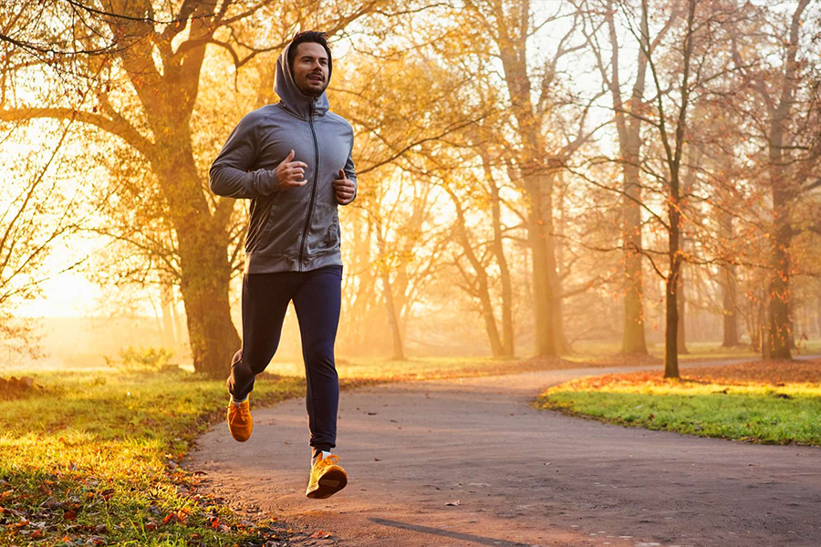 Lotus Celestial Andheri West Jogging Track Lotus Celestial Andheri West Jogging Track